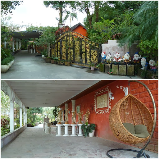 20250609-doghi