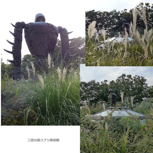 20250609-ifg6p