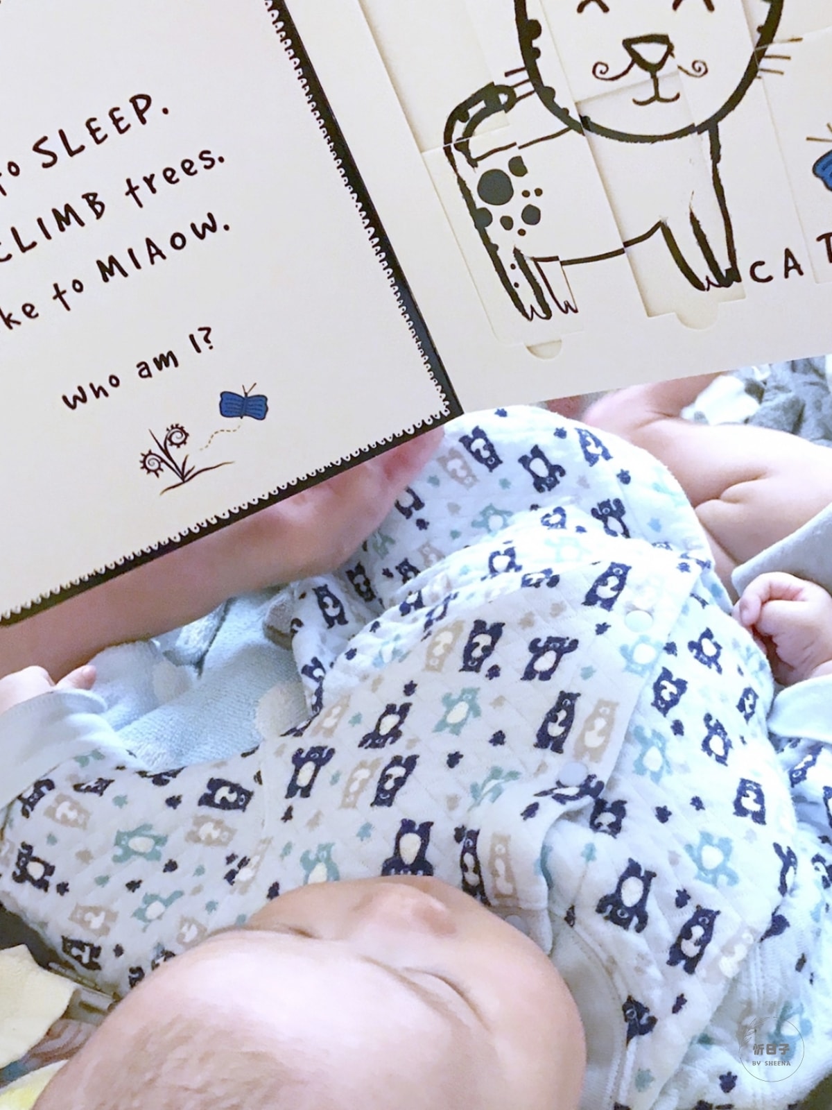 親子玩讀 x 小書蟲|Wee Gallery.Slide and Play 系列。黑白線條圖畫.硬厚頁操作書 - 第8張圖 親子玩讀 x 小書蟲|Wee Gallery.Slide and Play 系列。黑白線條圖畫.硬厚頁操作書