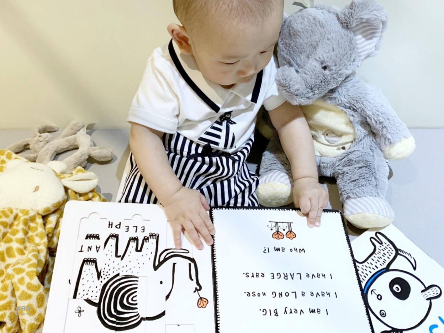 親子玩讀 x 小書蟲|Wee Gallery.Slide and Play 系列。黑白線條圖畫.硬厚頁操作書 - 第9張圖 親子玩讀 x 小書蟲|Wee Gallery.Slide and Play 系列。黑白線條圖畫.硬厚頁操作書