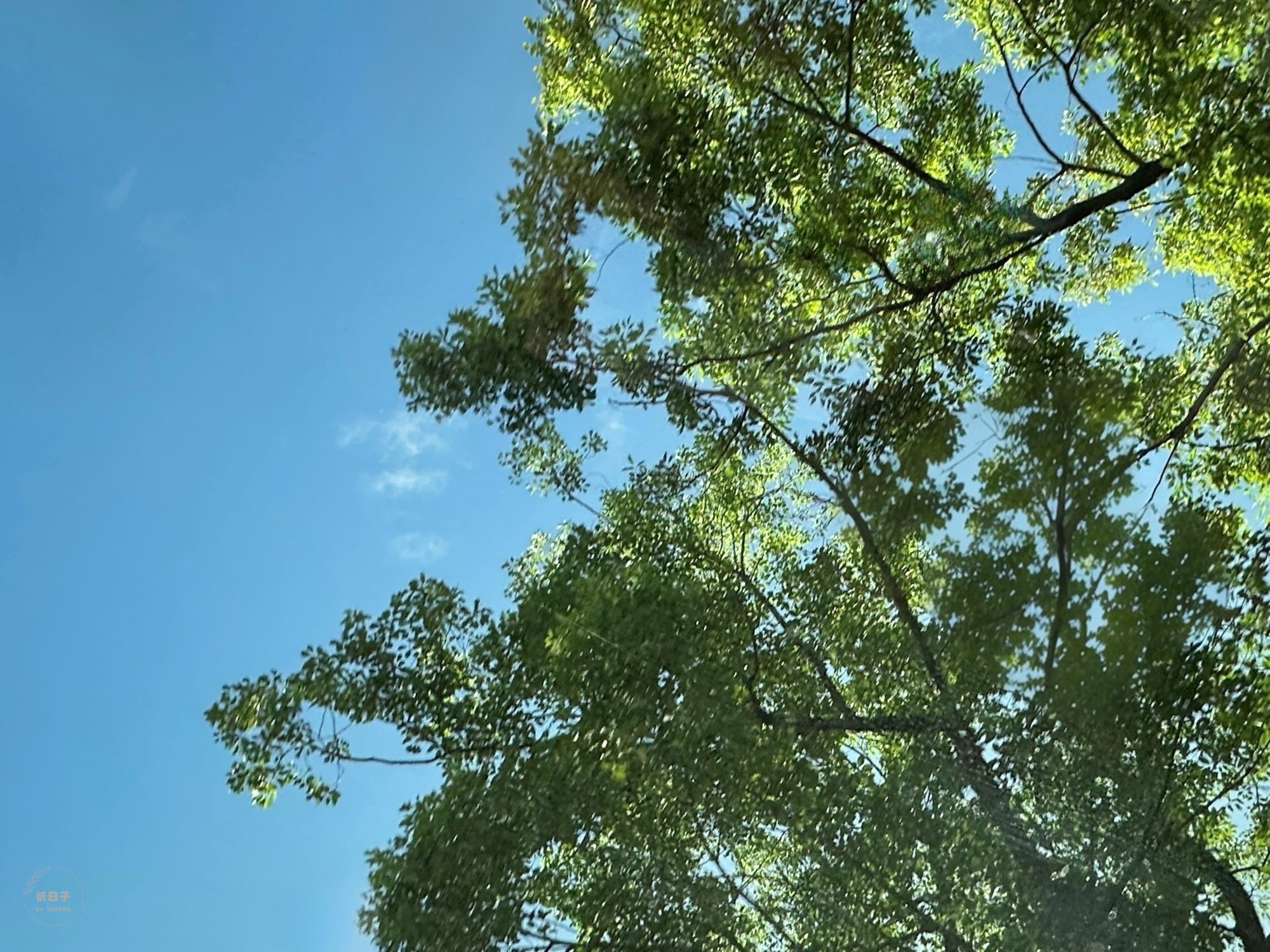 兒 x 大小事|高敏感孩子的小學紀錄。一年級新生.首部曲 - 第1張圖