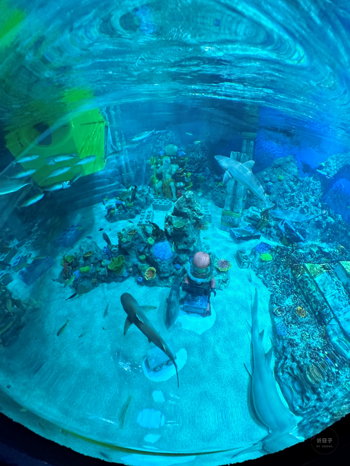 旅 x 名古屋|LEGOLAND Japan.日本樂高樂園 - 第20張圖 旅 x 名古屋|LEGOLAND Japan.日本樂高樂園